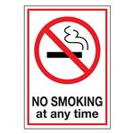 No Smoking at Any Time -Decal